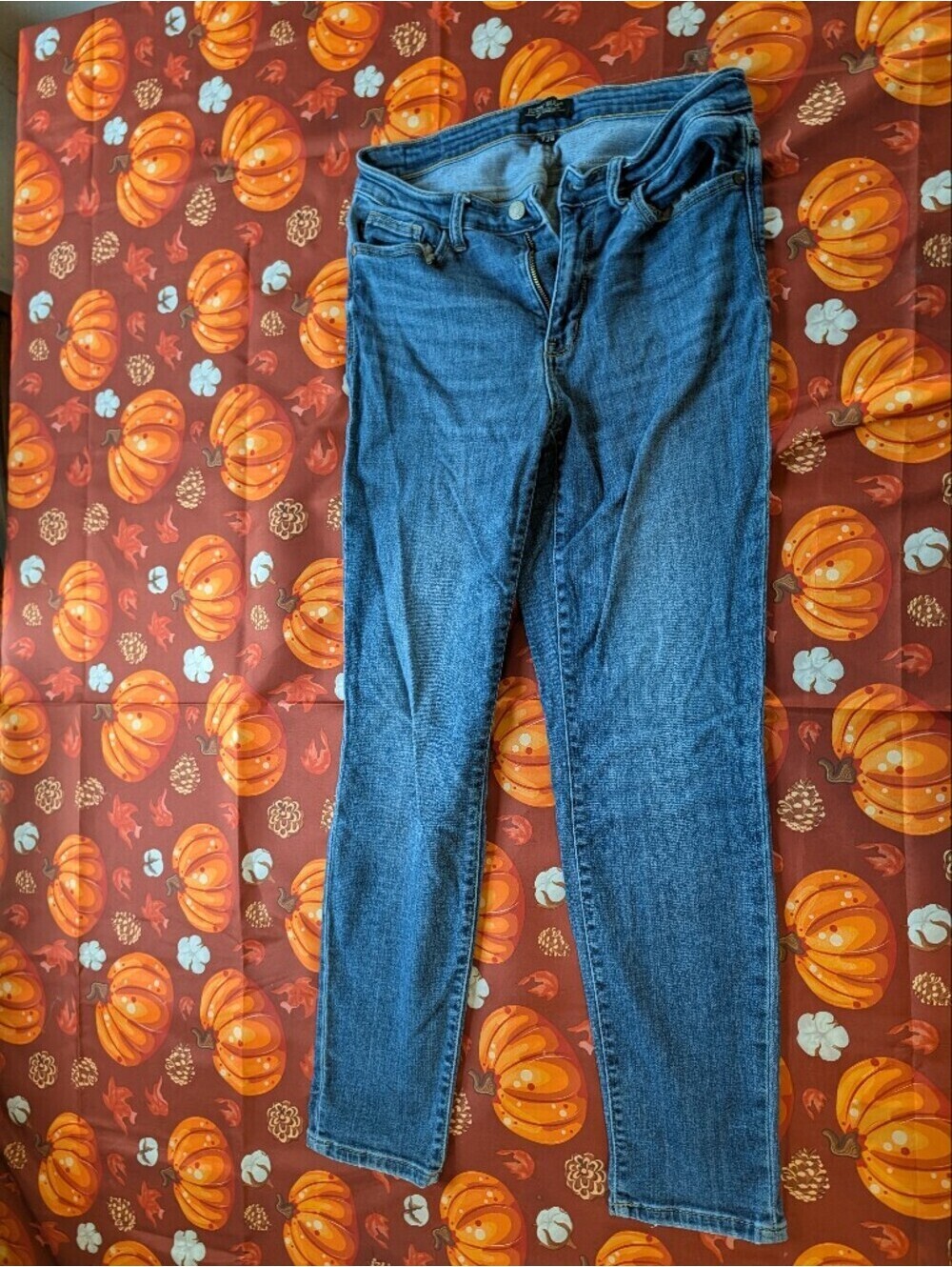 Judy Blue Medium Blue Skinny Jeans